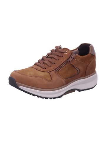 Xsensible Damen- Schnürschuhe New Jersey in Braun