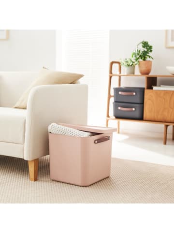 Rotho 2er-Set Aufbewahrungskiste 40l in Meadow rose