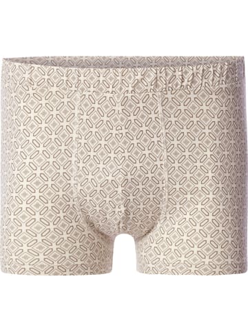 BABISTA 4er Pack Boxershorts VIRENZO in braun beige