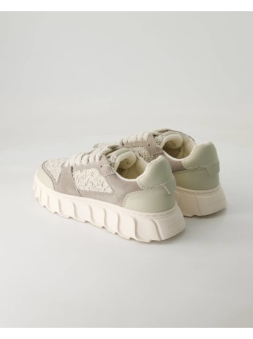 Apple of Eden Sportliche Schnürschuhe in Grau