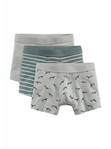 Hessnatur Jungen Pants Regular Cut 3er-Pack in atlantikblau