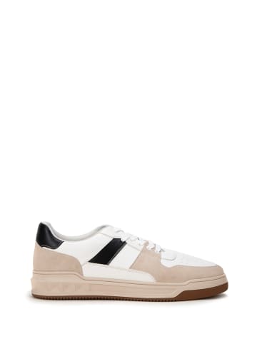 Wittchen Sneaker in Multicolored