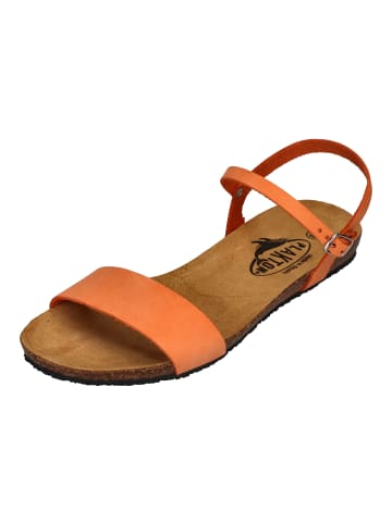 Plakton Sandalen MAM AMBO 575725 in orange