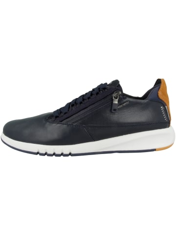 Geox Sneaker low U Aerantis B in blau