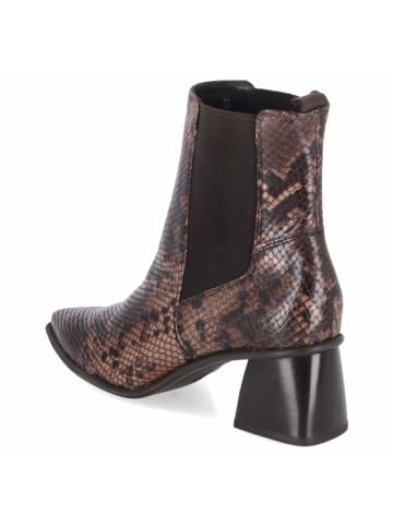 Paul Green Stiefeletten in braun
