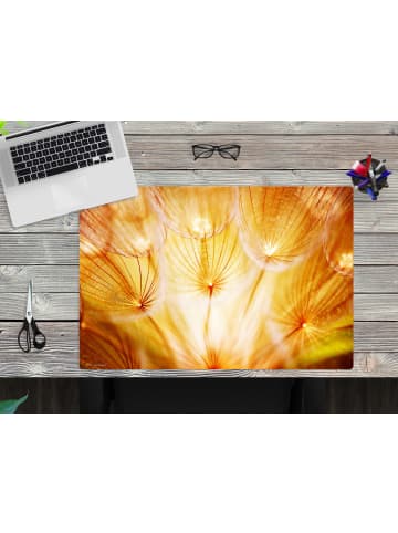 Cover-your-desk.de  Schreibtischunterlage – “Pusteblume im Sonnenglanz“ (L)60 x (B)40 