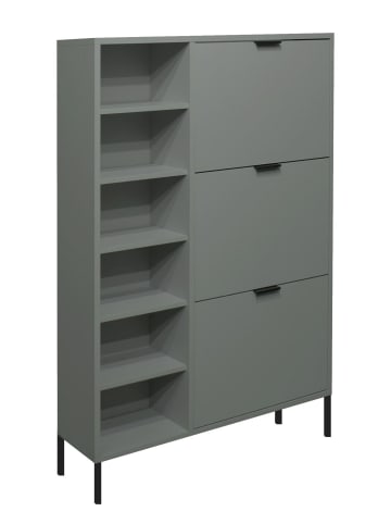 58 aufm Kessel SCHUHSCHRANK Erna 95x25x141 Pinie Green matt Lack