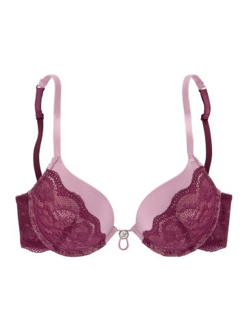 LASCANA Push-up-BH in lila-mauve