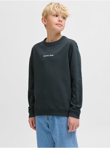 JACK & JONES Junior Sweatshirt JORNORREBRO EMB SWEAT CREW JNR in forest river