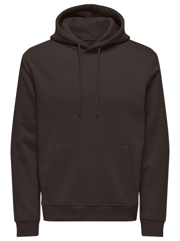 ONLY & SONS Sweatshirt / Hoodie Connor in Mulch