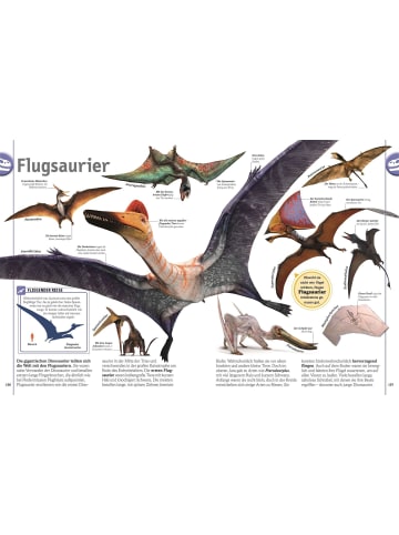 Dorling Kindersley  Dinosaurier | Lebewesen und Fossilien der Urzeit in über 1000 Bildern