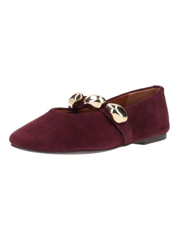 Steve Madden Ballerinas POPPIN in Dunkelrot
