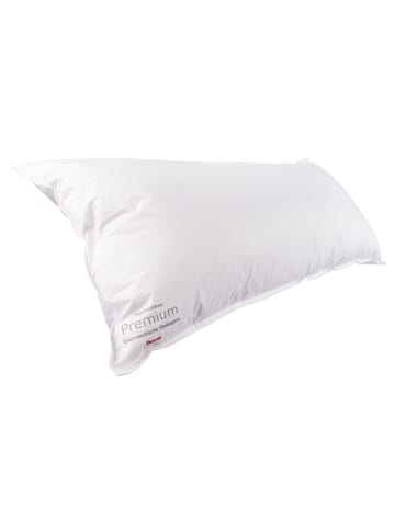 Traumschloss Premium Deluxe Daunen Kopfkissen in champagner