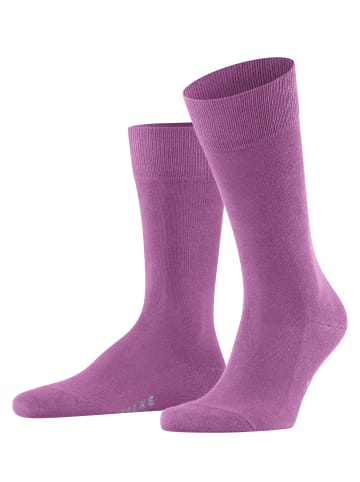 Falke Socken Family in Orchid