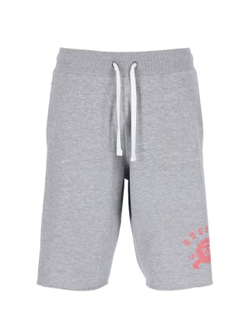 Russell Athletic Shorts in Grau