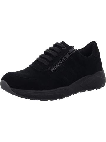 Solidus Stiefeletten für Damen in schwarz