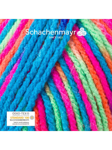 Schachenmayr since 1822 Handstrickgarne Bravo Color, 50g in Electra