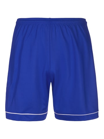 adidas Performance Funktionsshorts Squadra 17 in blau / weiß