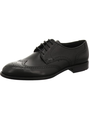 LLOYD Schnürschuhe in schwarz