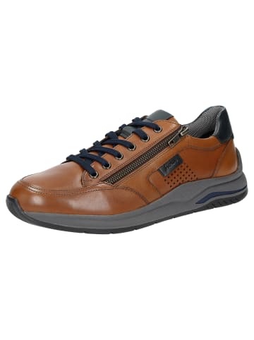 Sioux Sneaker Turibio-702-J in cognac