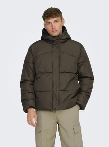ONLY & SONS Daunenjacke in Hot Fudge