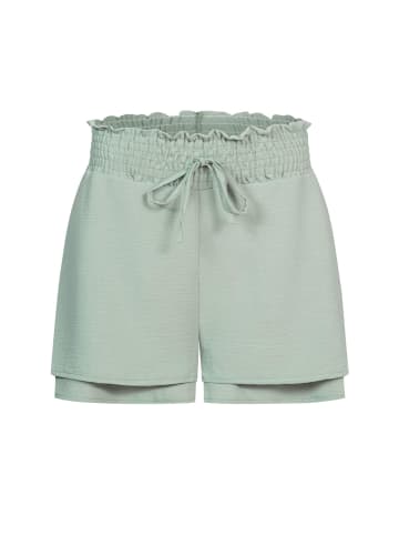 Cloud5ive Shorts in light green