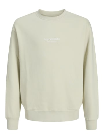 JACK & JONES Junior Sweatshirt in Celadon Tint