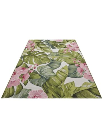 Teppich Boss Flair In- und Outdoor Teppich Tropical bunt