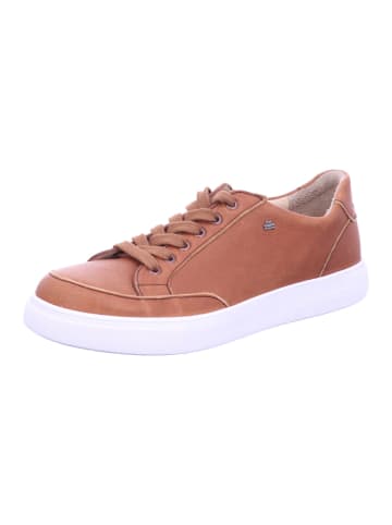 Finn Comfort Sneaker Low in braun