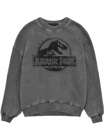 Jurassic Park Pullover in Schwarz