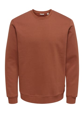 ONLY & SONS Sweatshirt Connor in Sequoia