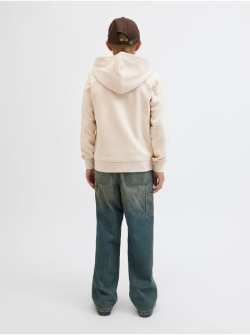 JACK & JONES Junior Kapuzenjacke in Moonbeam