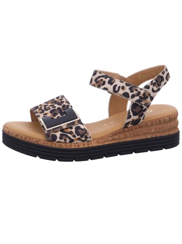 Gabor Comfort Sandale  in Beige