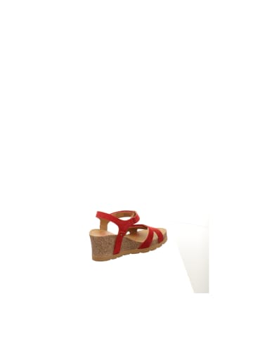 PANAMA JACK Sandalen in rot