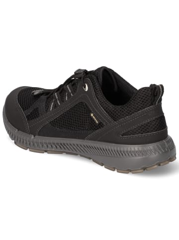 Ecco Halbschuhe TERRACRUISE II in schwarz