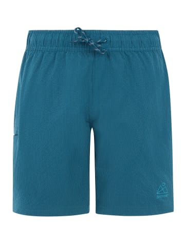 Protest " PRTHAILY JR in Raku Blue