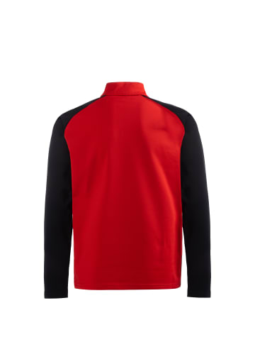 Puma Sweatshirt TeamLIGA 1/4 Zip in rot / schwarz