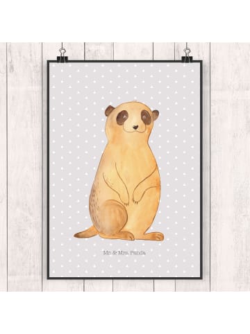 Mr. & Mrs. Panda Poster Erdmännchen ohne Spruch in Grau Pastell