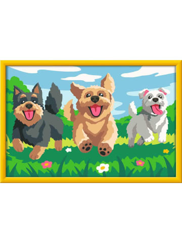 Ravensburger Ravensburger Kreativität Pfotenfreunde in bunt