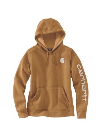 CARHARTT  Kapuzensweatshirt Clarksburg in braun