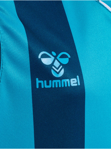 Hummel Trikot S/S Hmlcore Xk Striped Jersey Kids S/S in BLUE CORAL/BLUE DANUBE
