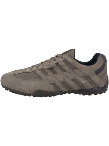 Geox Sneaker low U Snake A in grau