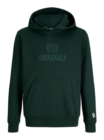 JACK & JONES Junior Kapuzenpullover in Pine Grove