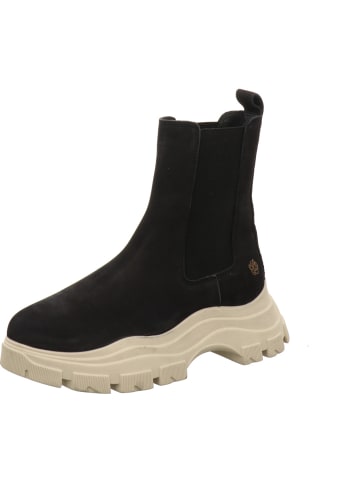 Apple of Eden Stiefeletten/Boot in schwarz
