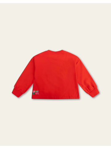Oilily Hak Sweater in Verrotten