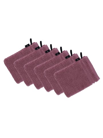 Vossen 6er Pack Waschhandschuh in blackberry