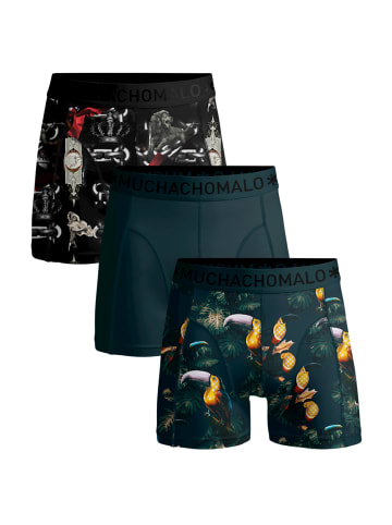 Muchachomalo 3er-Set: Boxershorts in Multicolor