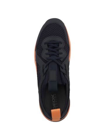 Geox Sneaker low U Terrestre A in dunkelblau