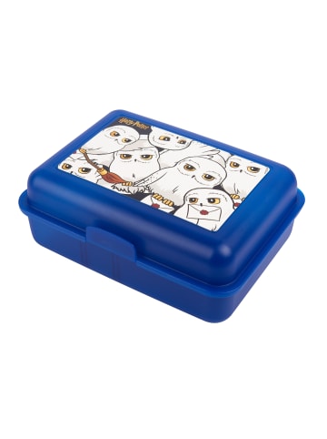 Harry Potter Harry Potter Brotdose - Hedwig - mit Trennwand Blau in blau