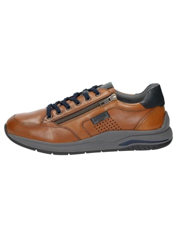 Sioux Sneaker Turibio-702-J in cognac